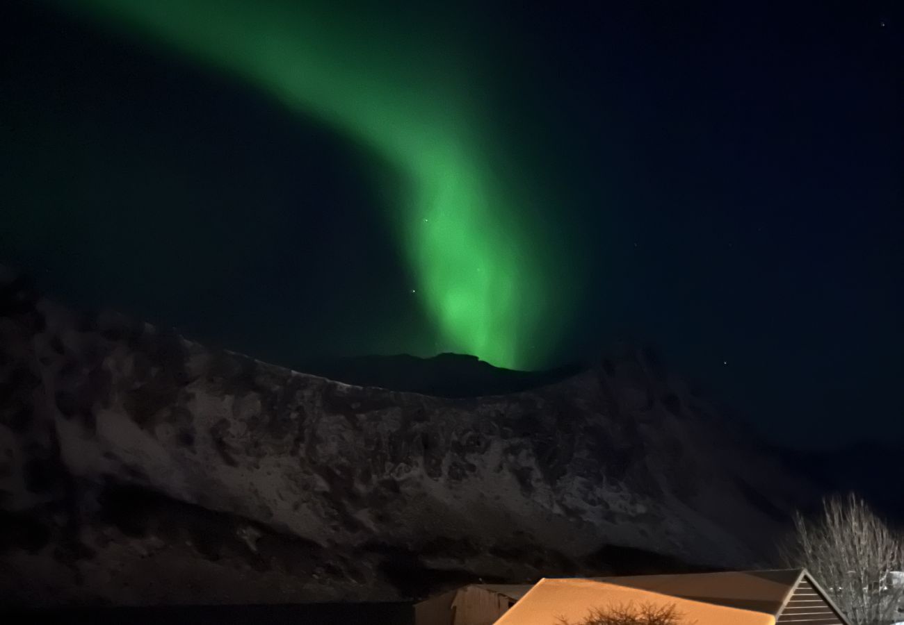 House in Senja - Fantastisk hus med sjøtomt i Gryllefjord