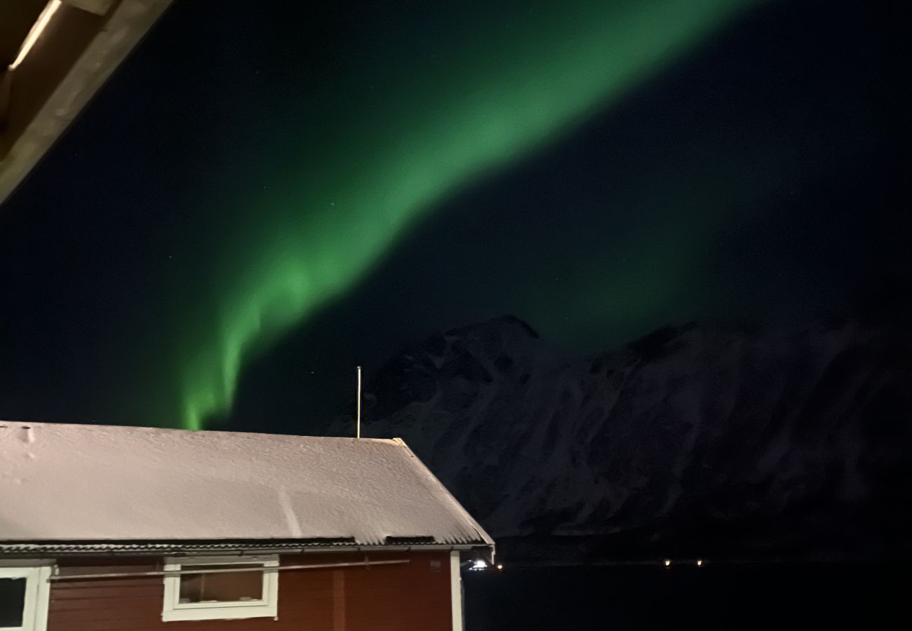 House in Senja - Fantastisk hus med sjøtomt i Gryllefjord