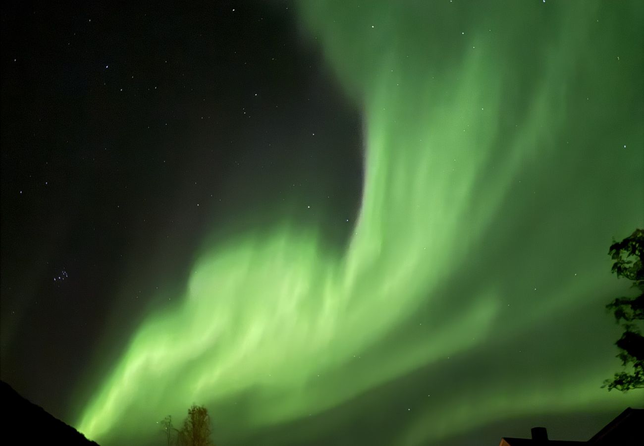 House in Senja - Fantastisk hus med sjøtomt i Gryllefjord