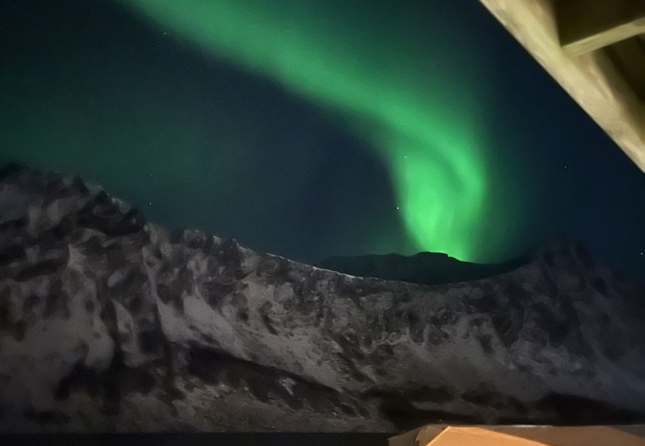 House in Senja - Fantastisk hus med sjøtomt i Gryllefjord