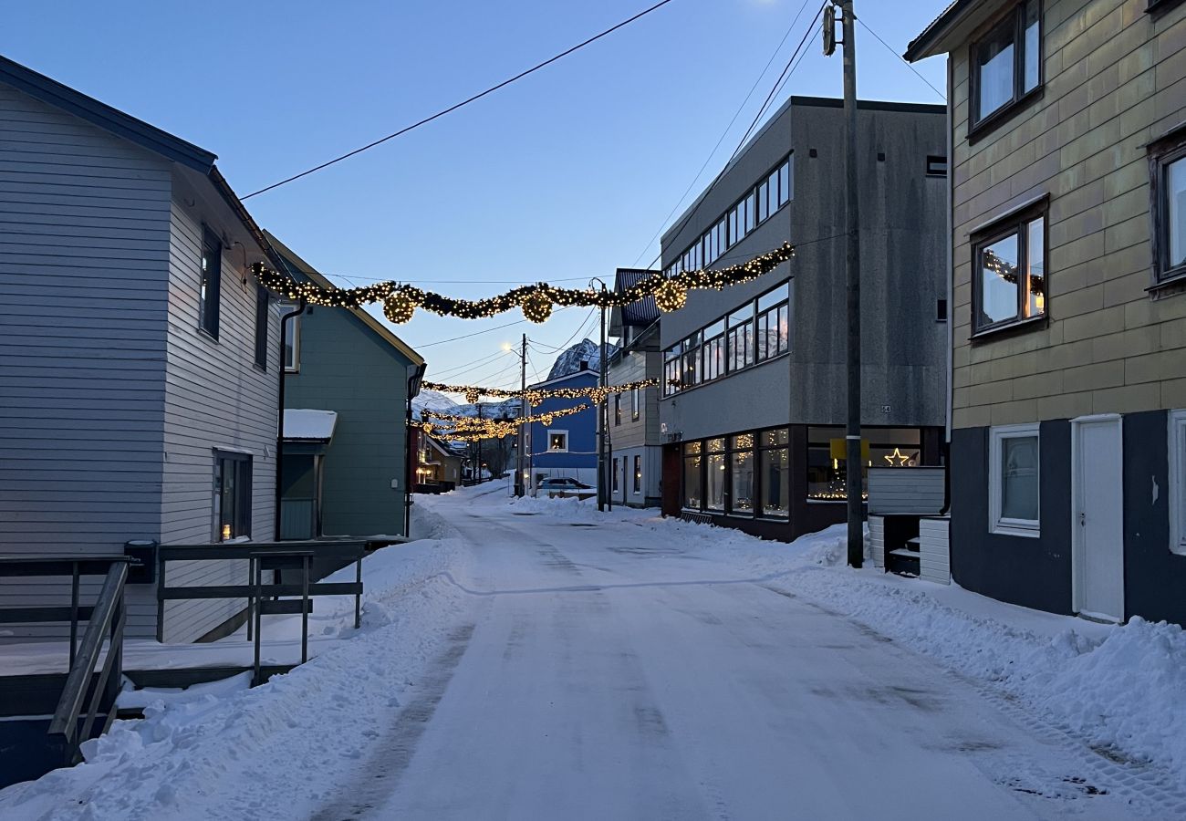 House in Senja - Fantastisk hus med sjøtomt i Gryllefjord