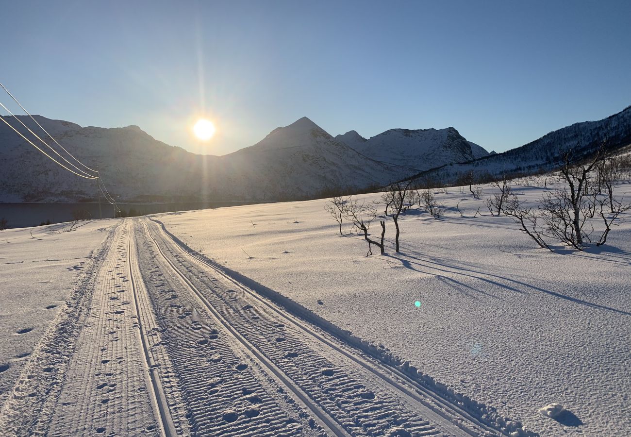 House in Senja - Fantastisk hus med sjøtomt i Gryllefjord