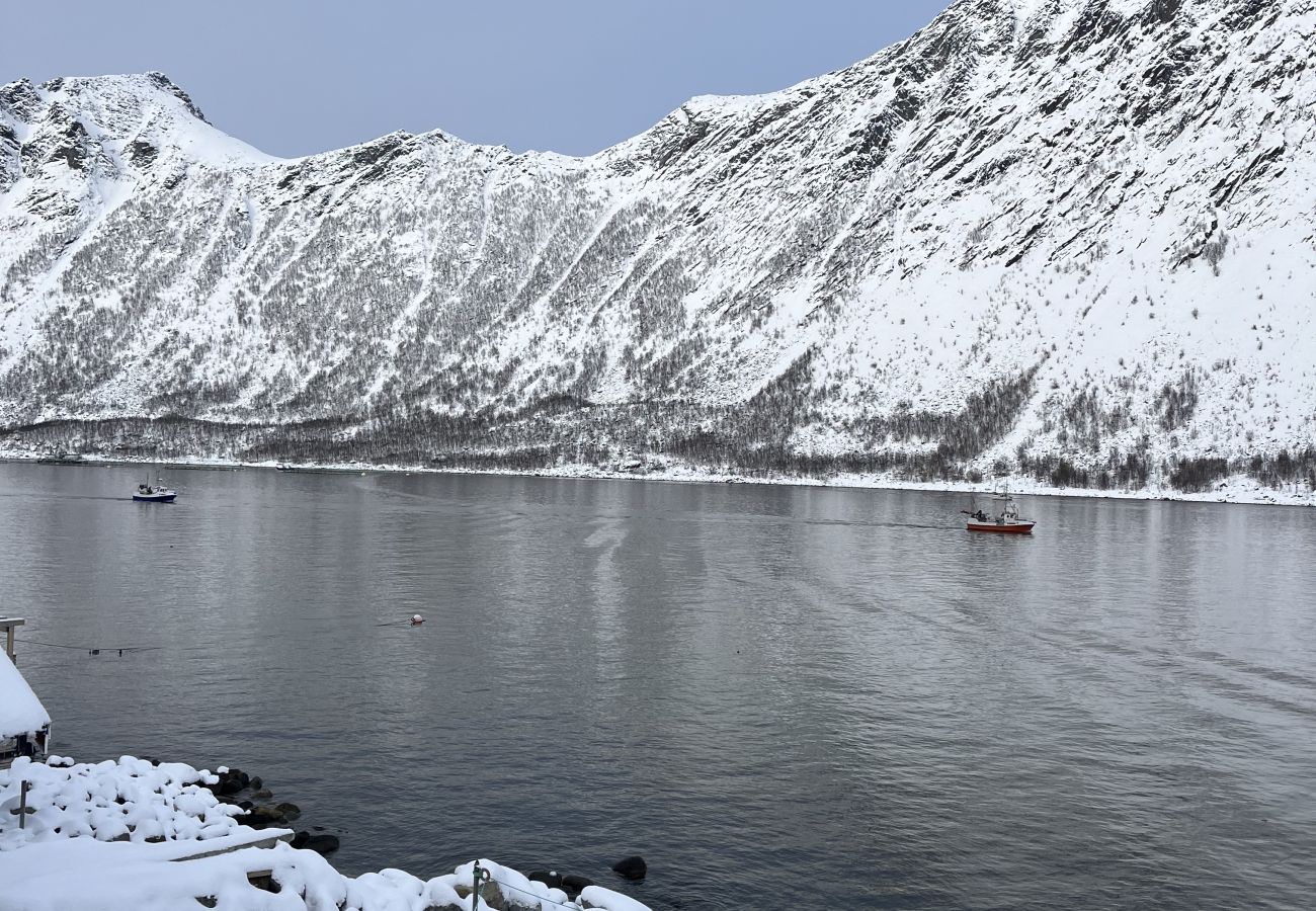 House in Senja - Fantastisk hus med sjøtomt i Gryllefjord