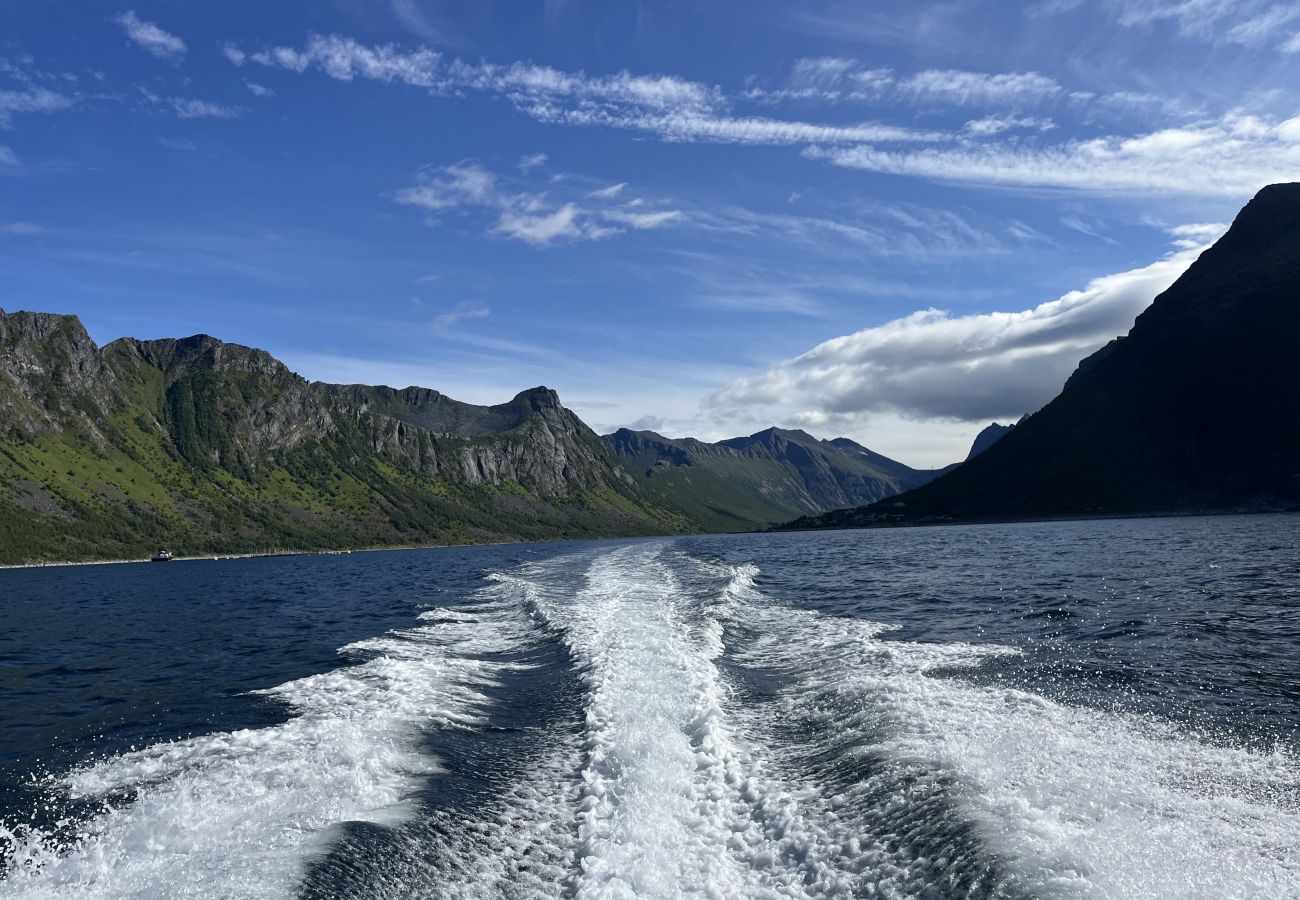 House in Senja - Fantastisk hus med sjøtomt i Gryllefjord