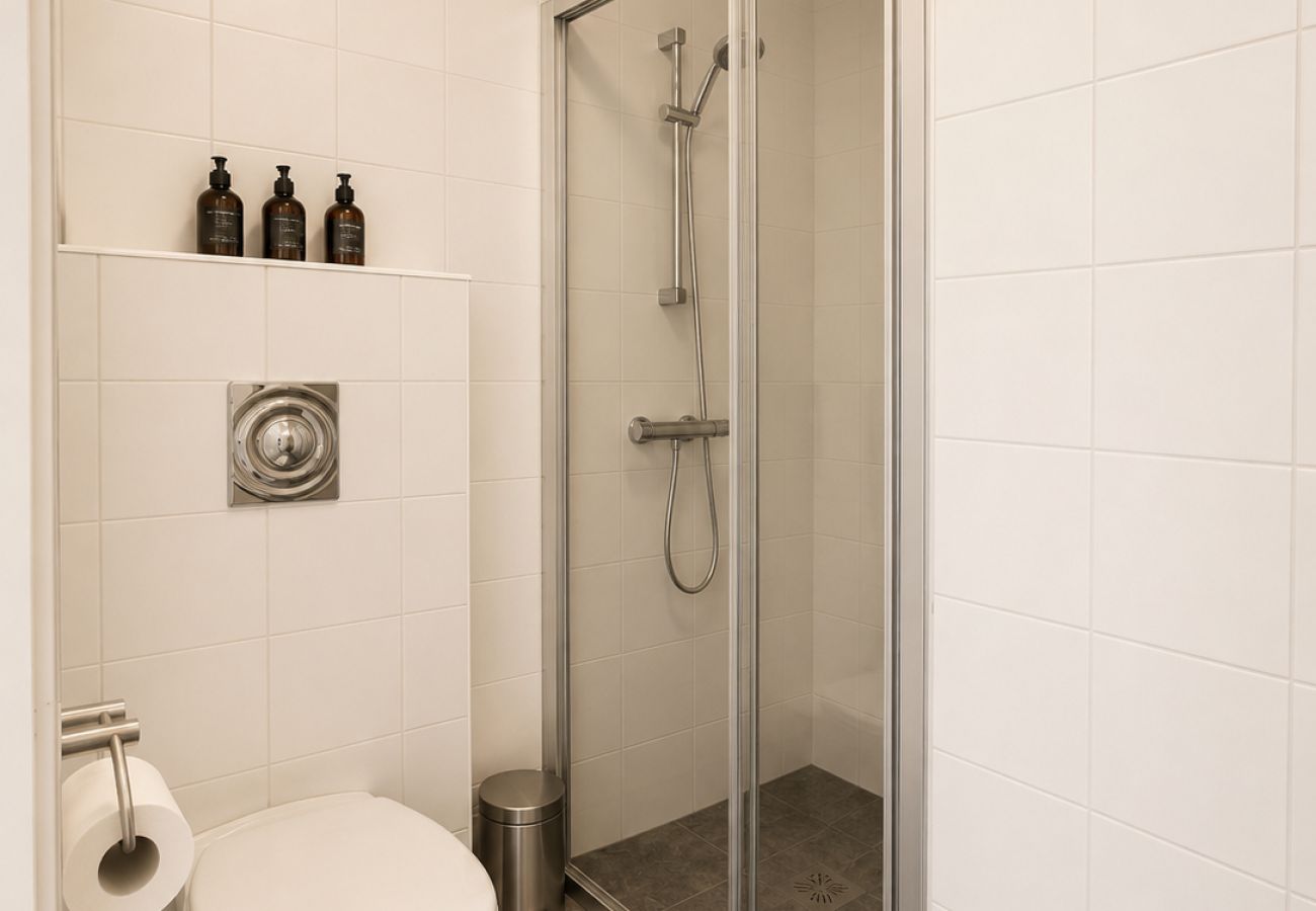 Apartment in Hemsedal - Ski in/Ski out and True Mountain Charm