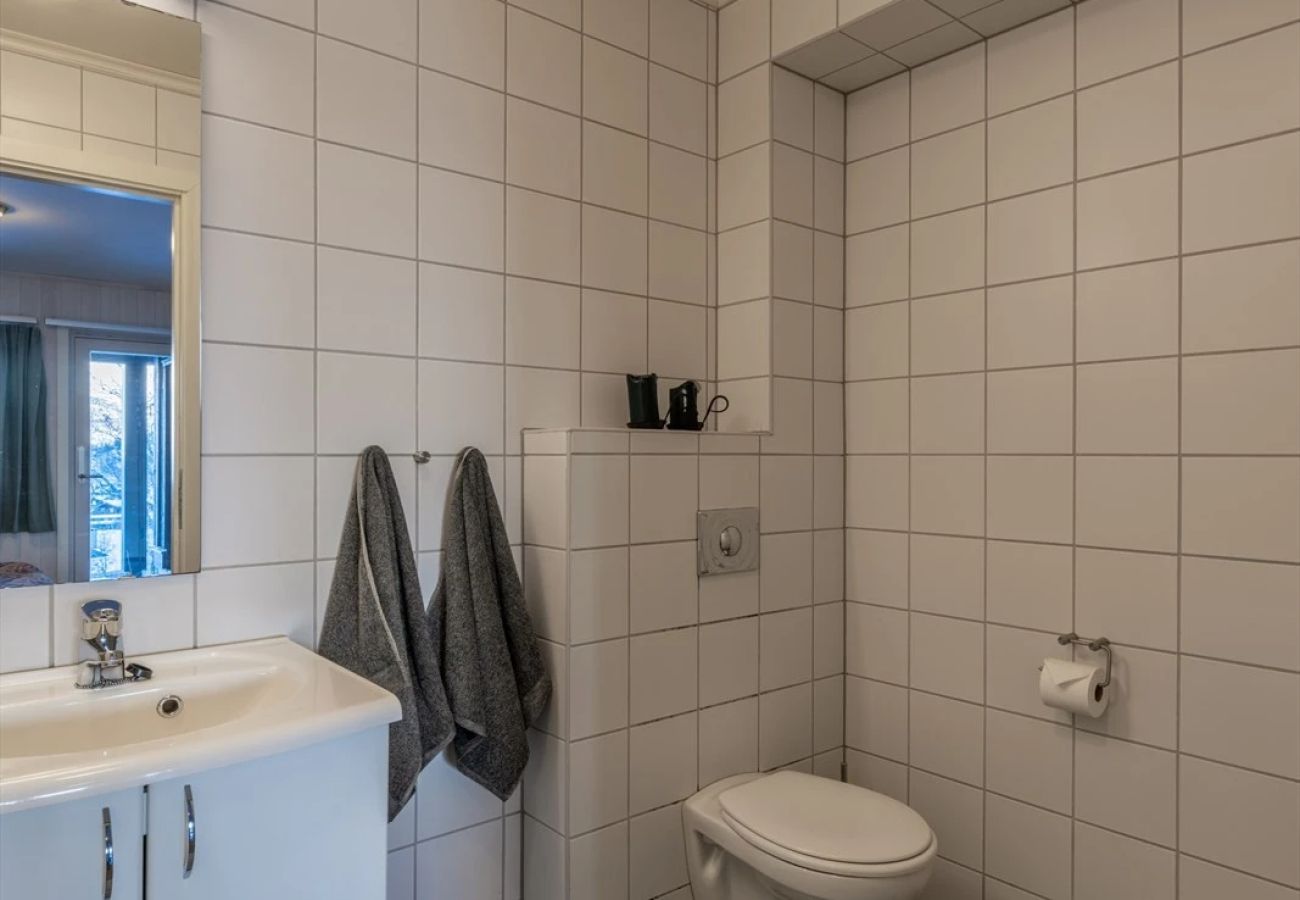 Apartment in Hemsedal - Large Ski in/Ski out Apartment for Groups