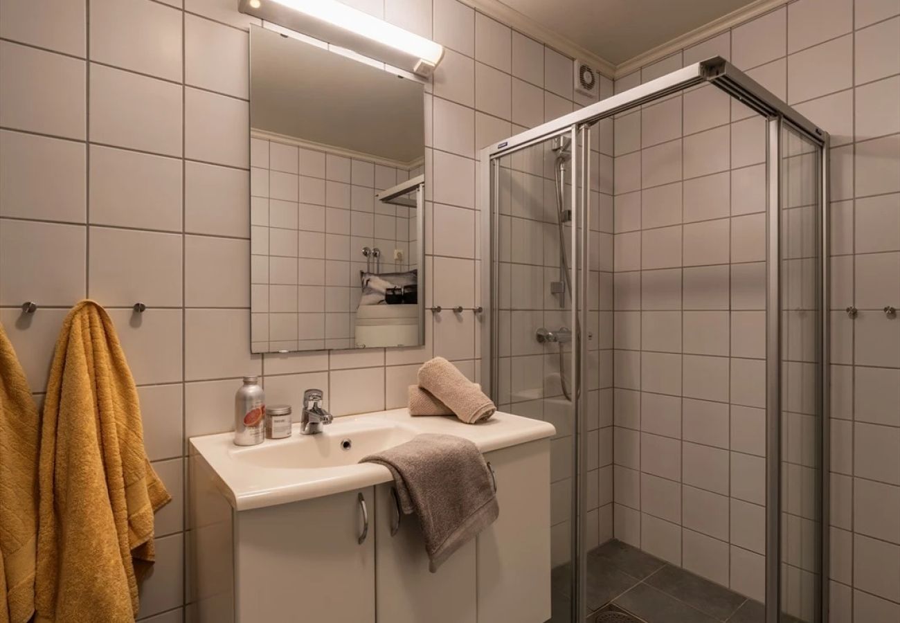 Apartment in Hemsedal - Large Ski in/Ski out Apartment for Groups