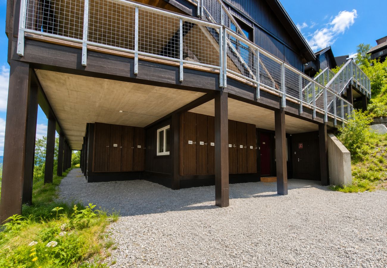 Apartment in Hemsedal - Large Ski in/Ski out Apartment for Groups