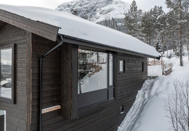 Cabin in Hemsedal - Nyørk Chalet, Hemsedal Cabin in Hemsedal - Nyørk Chalet, Hemsedal