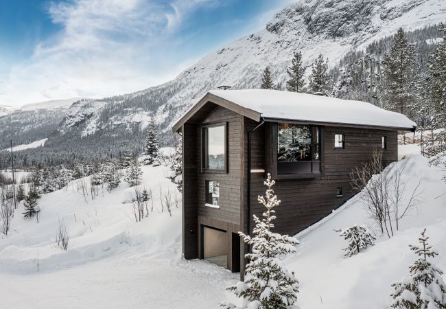 Cabin in Hemsedal - Nyørk Chalet, Hemsedal Cabin in Hemsedal - Nyørk Chalet, Hemsedal