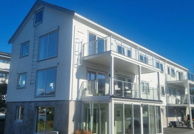 Apartment in Vågan - Modern apartment with mountain and sea view Apartment in Vågan - Modern apartment with mountain and sea view