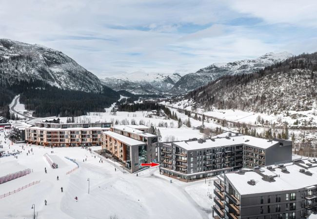 Apartment in Hemsedal - Luxury Ski Apartment by the slopes, Hemsedal Apartment in Hemsedal - Luxury Ski Apartment by the slopes, Hemsedal
