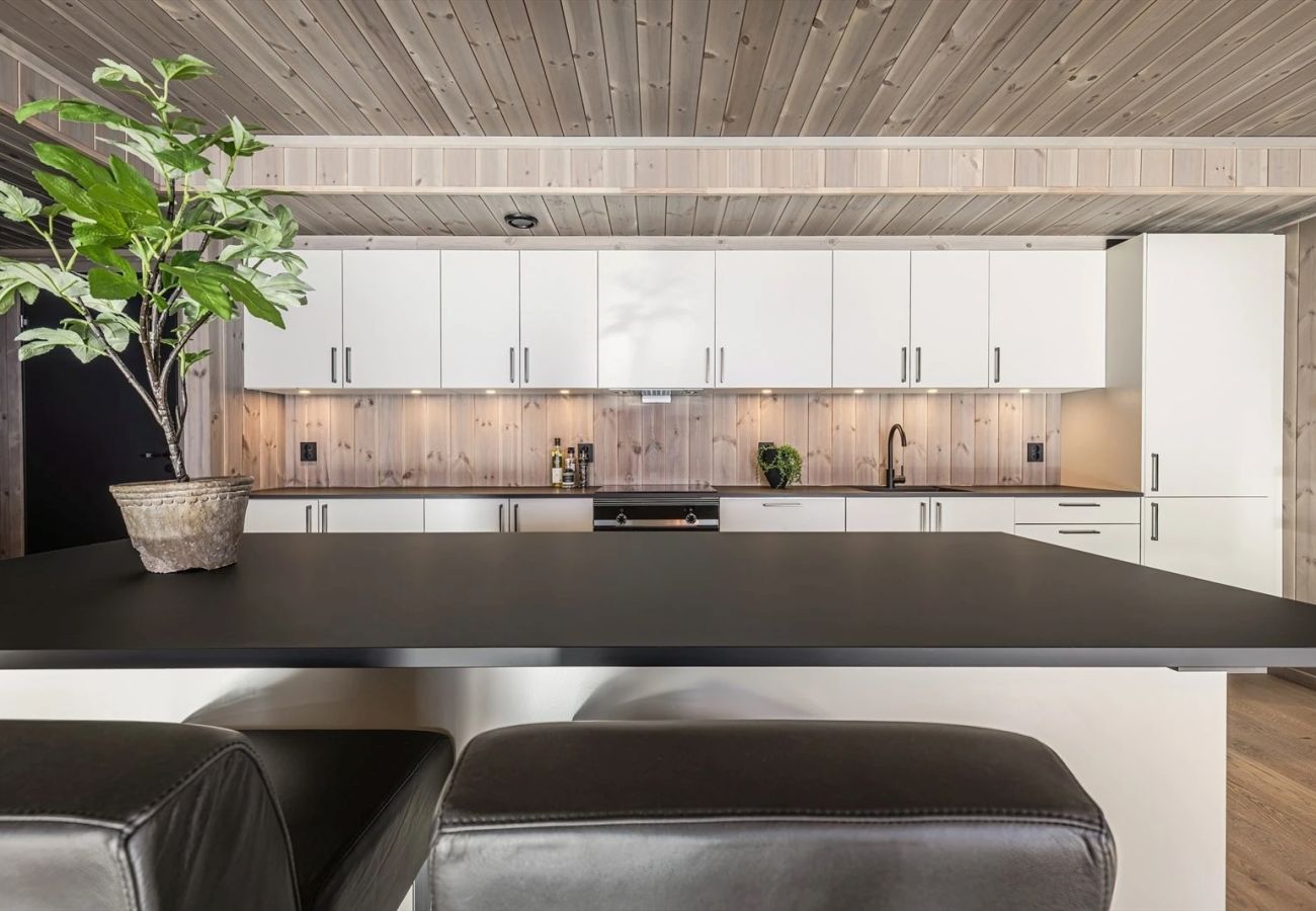 Apartment in Hemsedal - Luxury Ski Apartment by the slopes, Hemsedal