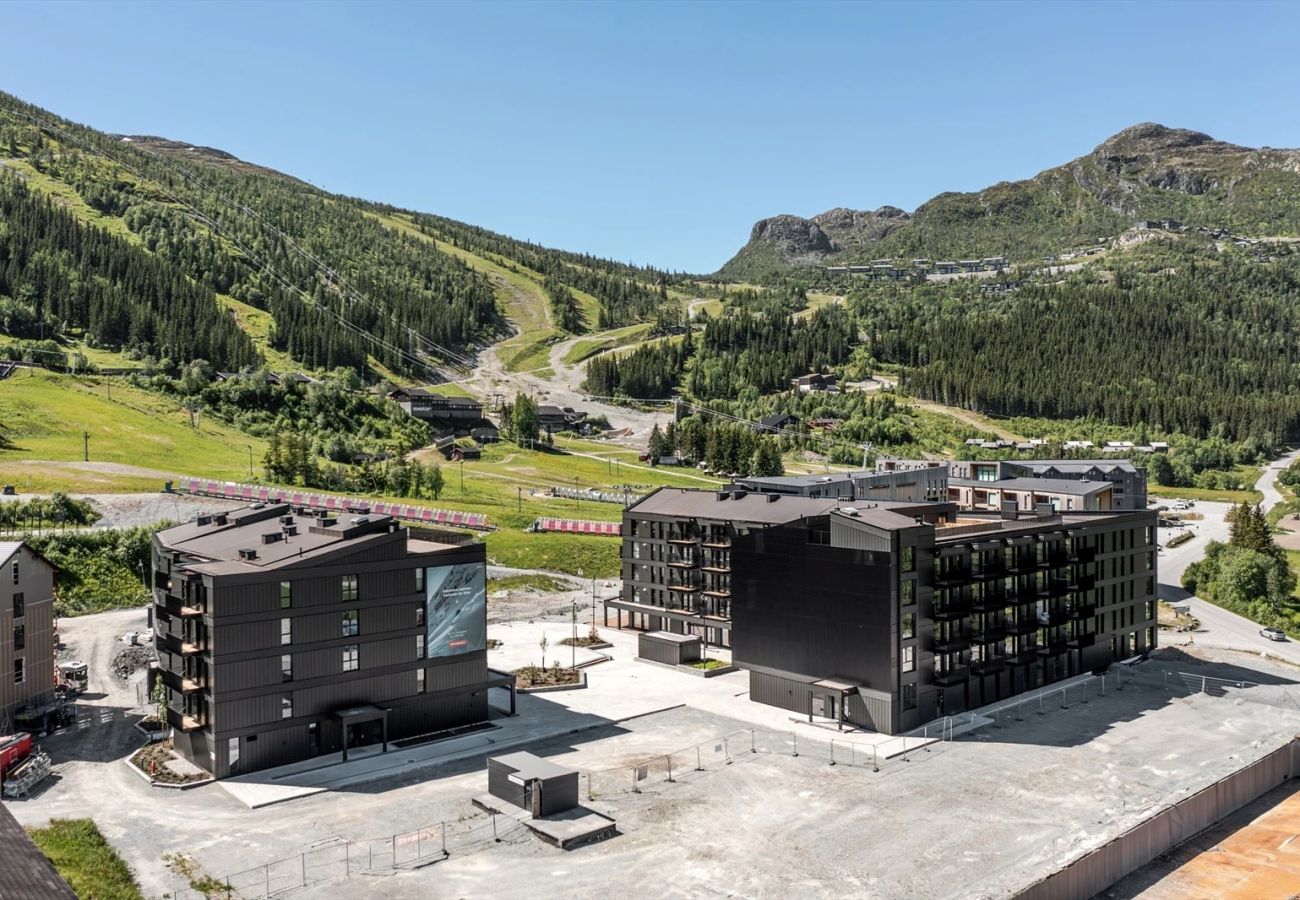 Apartment in Hemsedal - Luxury Ski Apartment by the slopes, Hemsedal