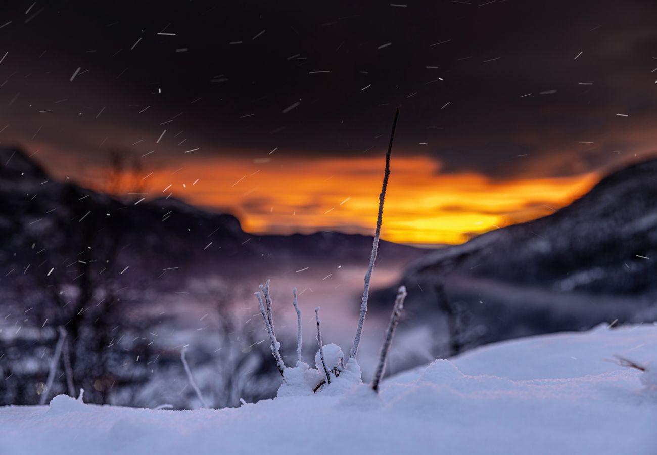 Apartment in Hemsedal - Brand new luxury apartment by the slopes, Hemsedal