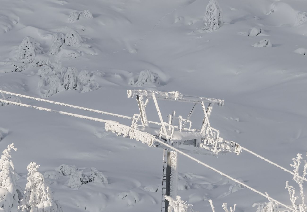 Apartment in Hemsedal - Brand new luxury apartment by the slopes, Hemsedal