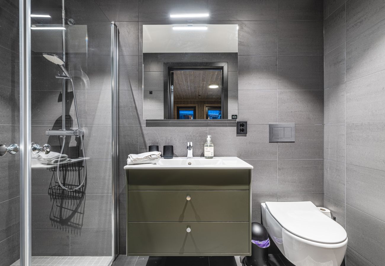 Apartment in Hemsedal - Brand new luxury apartment by the slopes, Hemsedal