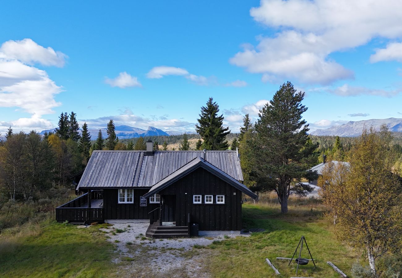 Cabin in Gol - Fjellkos, mountain cabin in Gol