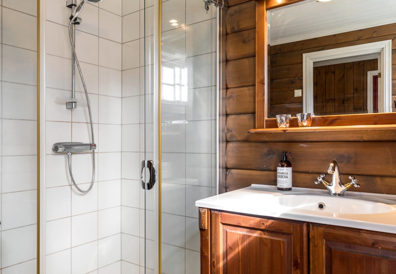 Cabin in Gol - Fjellkos, mountain cabin in Gol