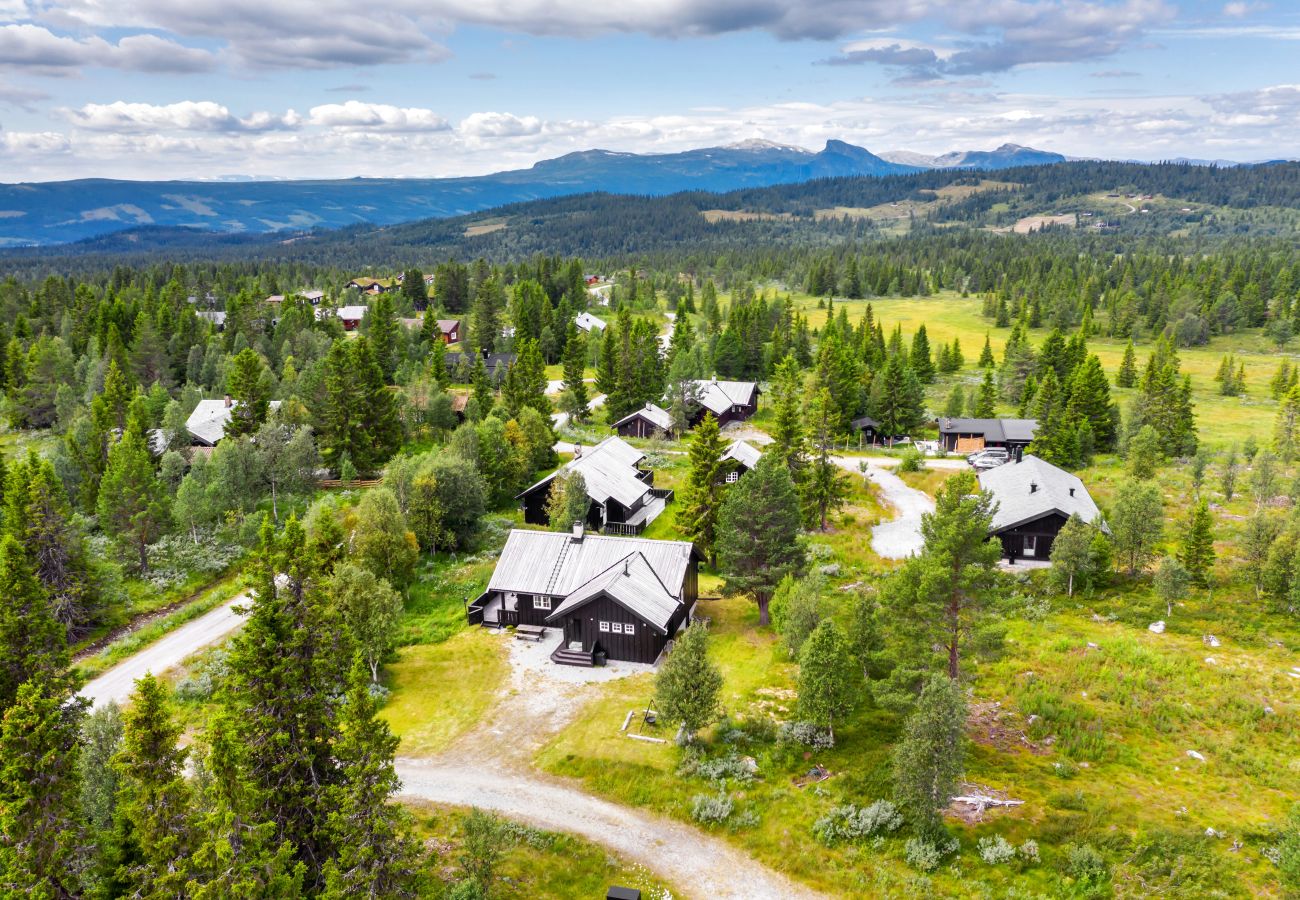Cabin in Gol - Fjellkos, mountain cabin in Gol