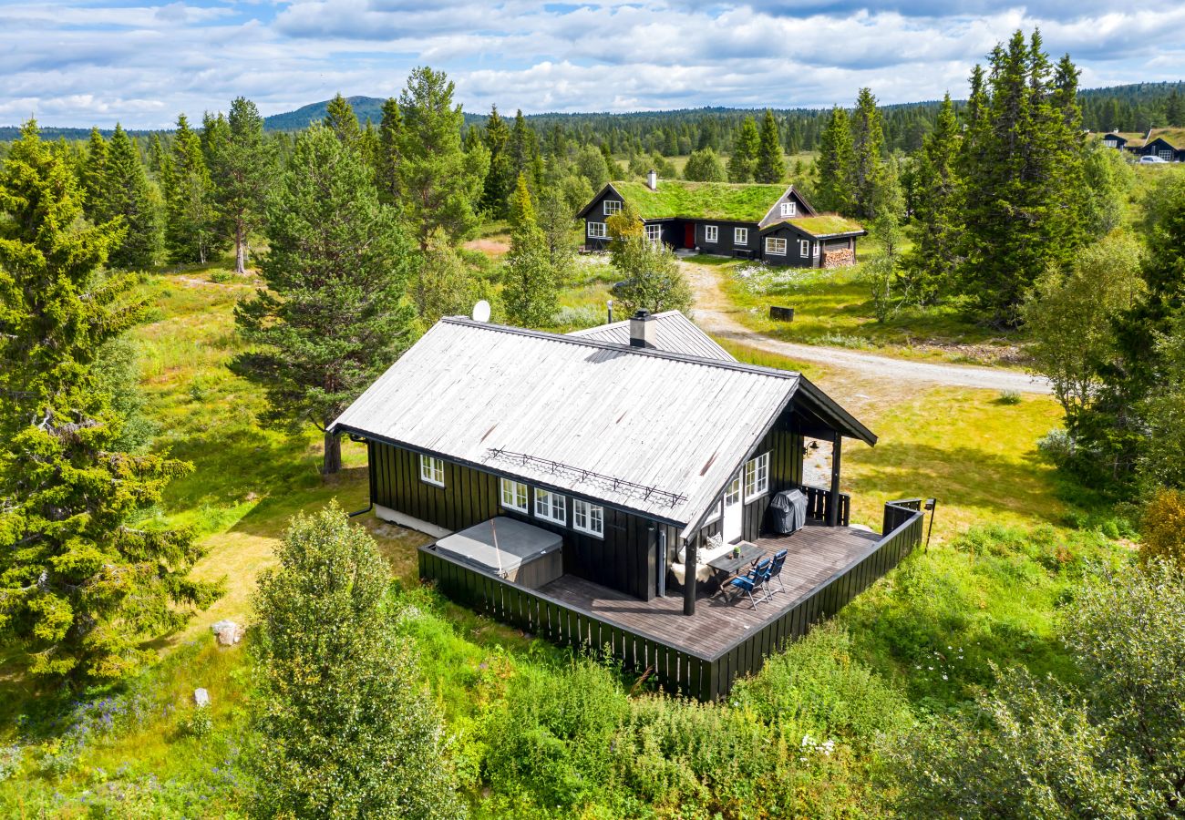 Cabin in Gol - Fjellkos, mountain cabin in Gol