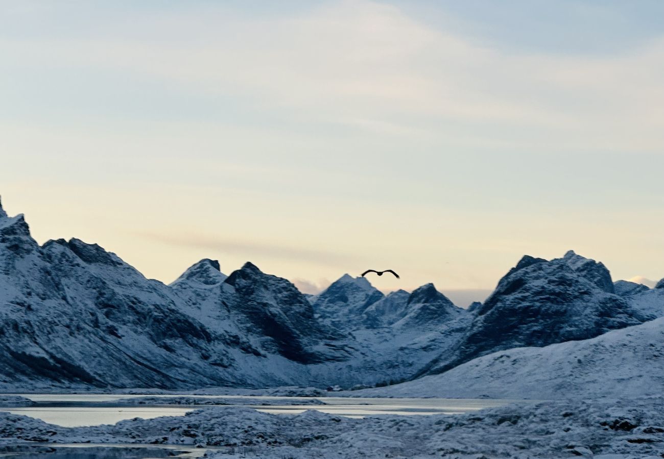Cabin in Flakstad - Fredvang Lodge, Lofoten