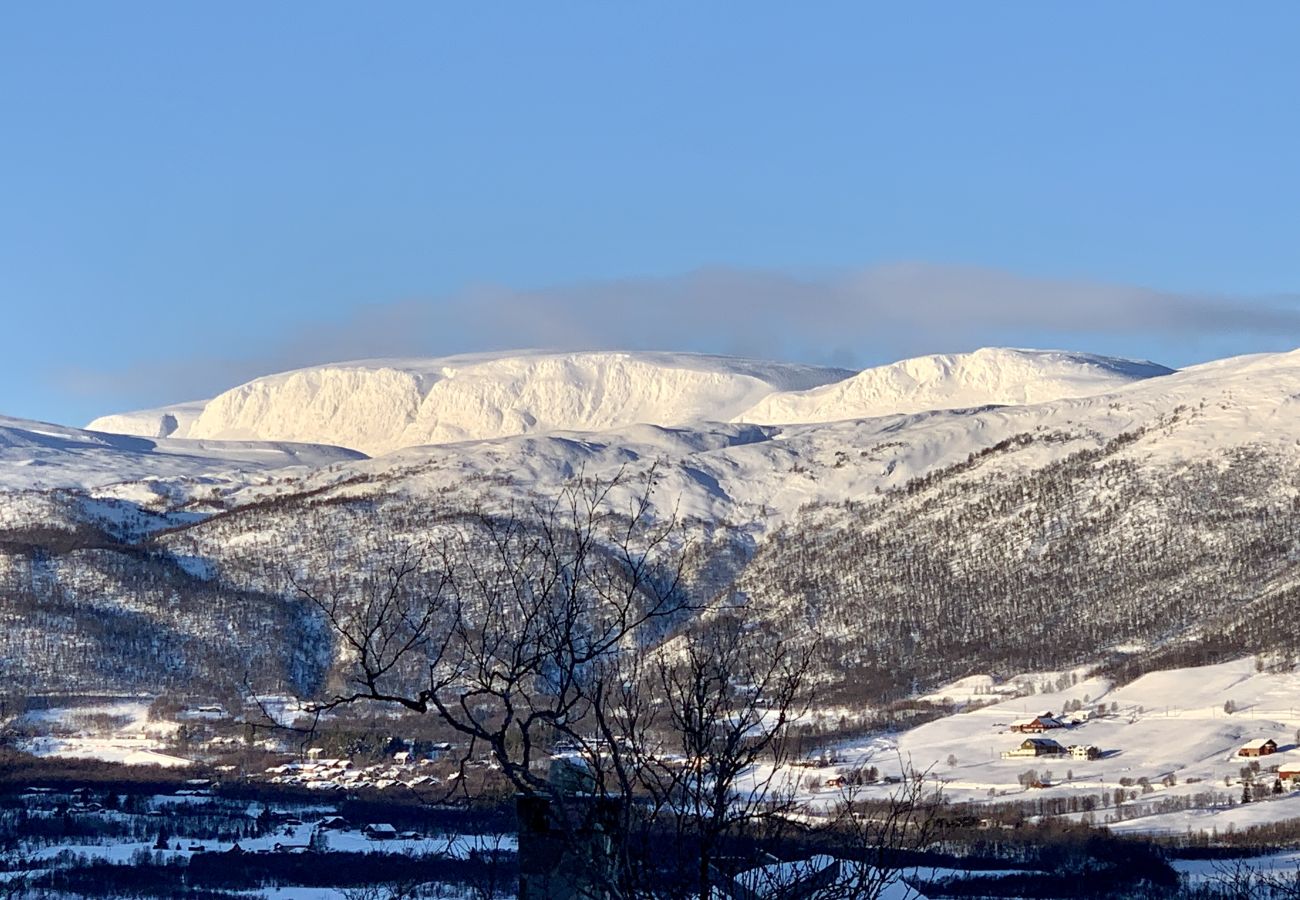 Cabin in Hol - Familiehytte med fantastisk beliggenhet i Vestlia