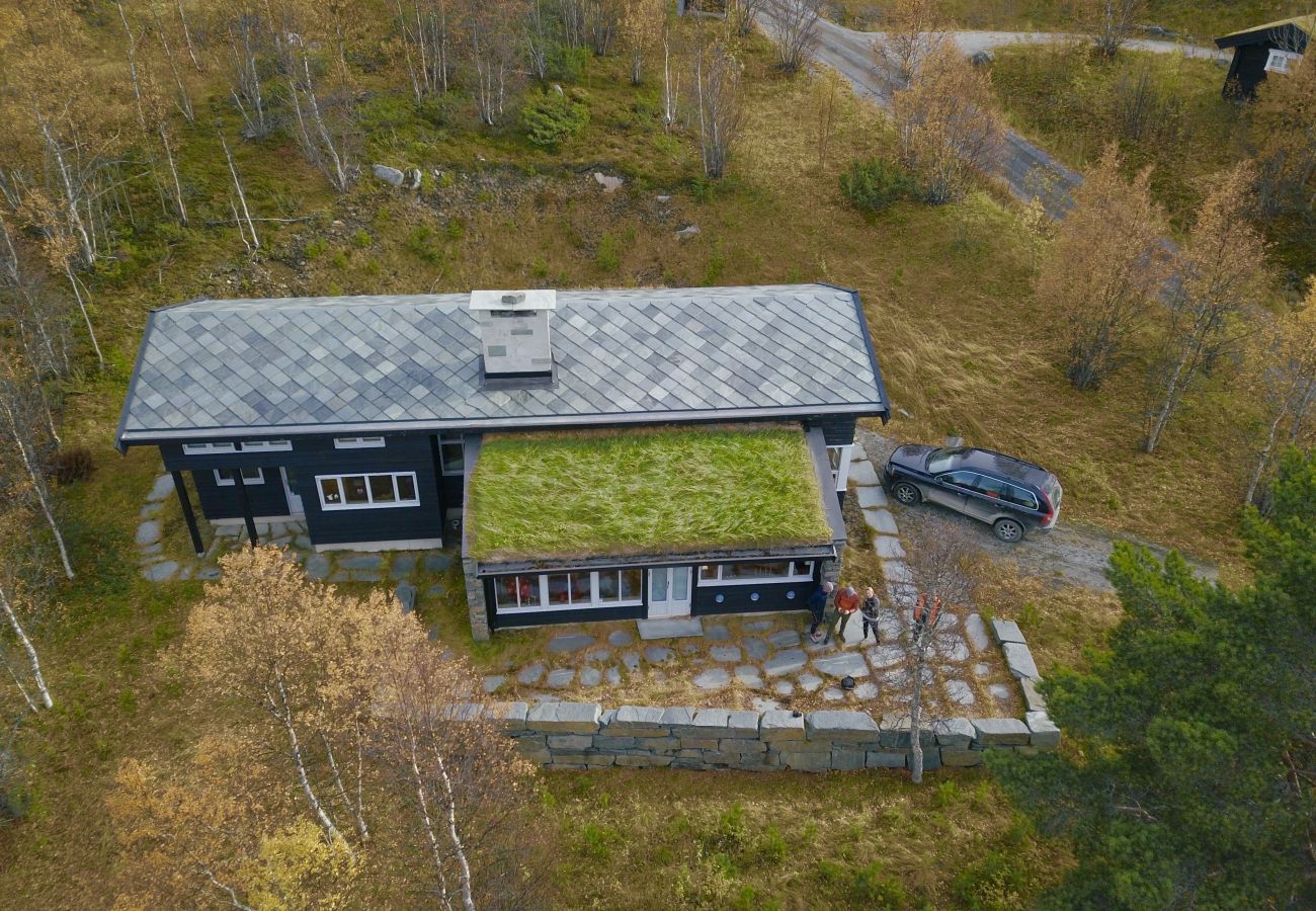 Cabin in Hol - Familiehytte med fantastisk beliggenhet i Vestlia