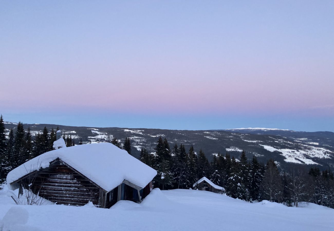 Apartment in Gol - Leilighet på Gol Skisenter