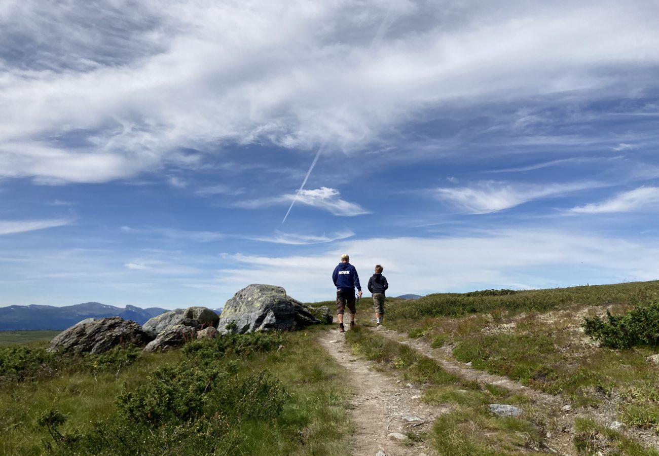 Apartment in Gol - Leilighet på Gol Skisenter