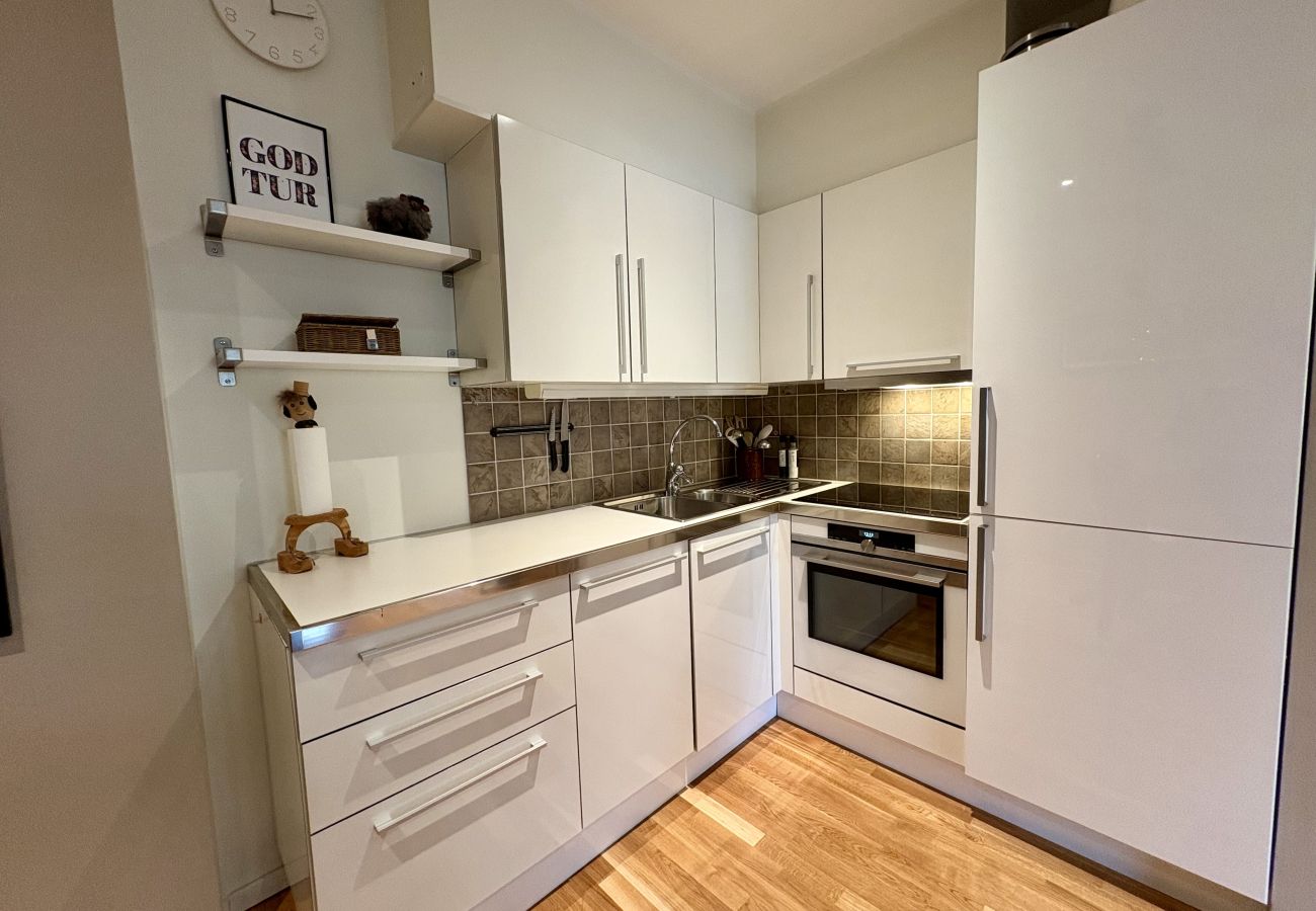 Apartment in Hol - Central apartment with walking distance to everything