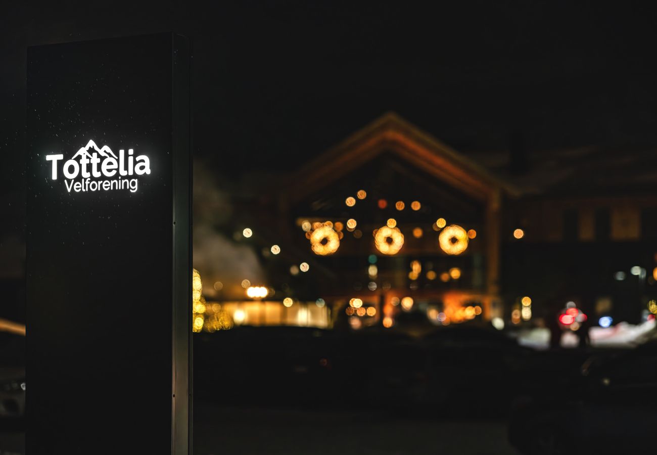 Cabin in Hemsedal - Hemsedal ski in/ski out cabin – modern comfort by the slopes