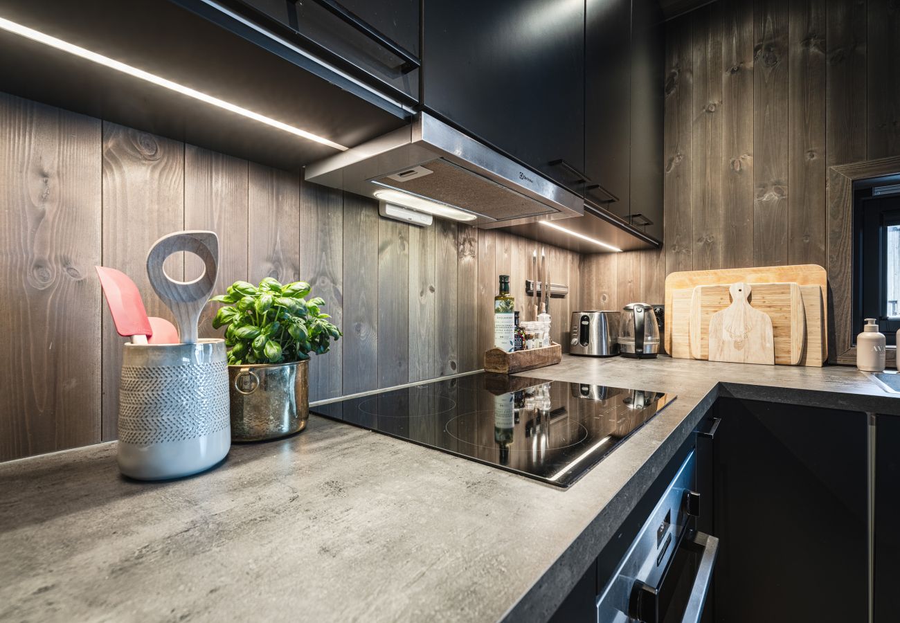 Cabin in Hemsedal - Hemsedal ski in/ski out cabin – modern comfort by the slopes