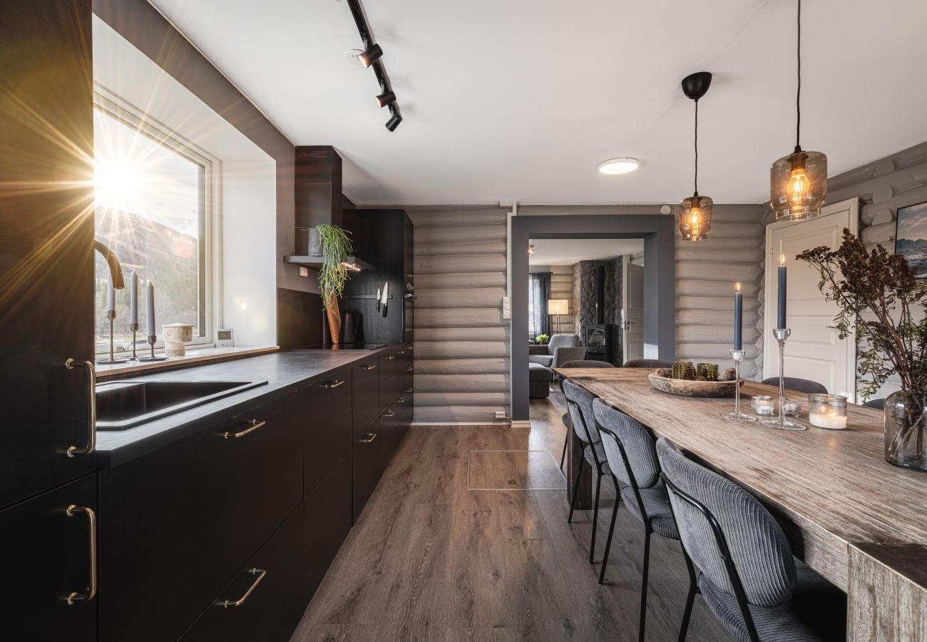 House in Hemsedal - Spacious Hemsedal home with ski slope view