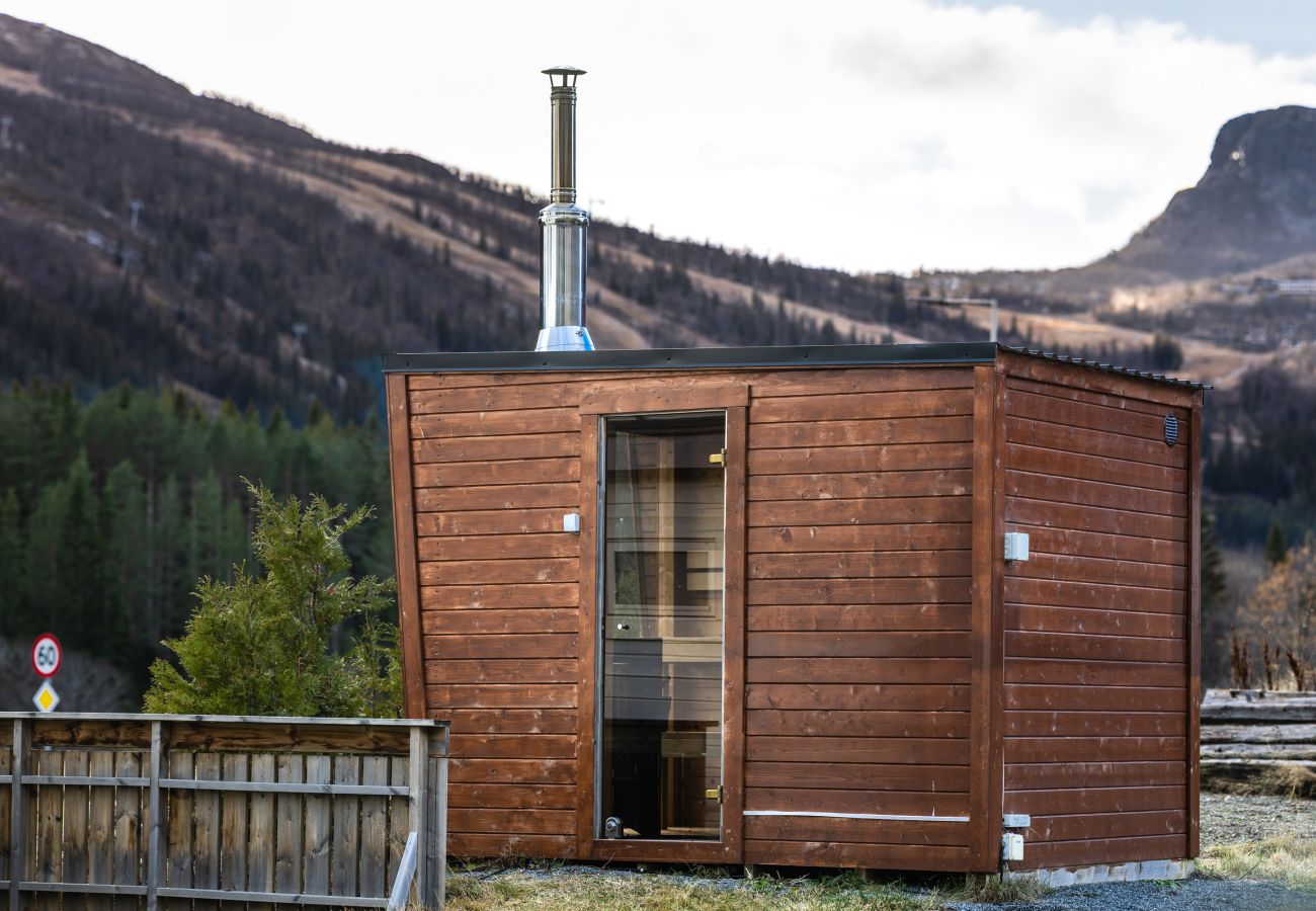 House in Hemsedal - Spacious Hemsedal home with ski slope view