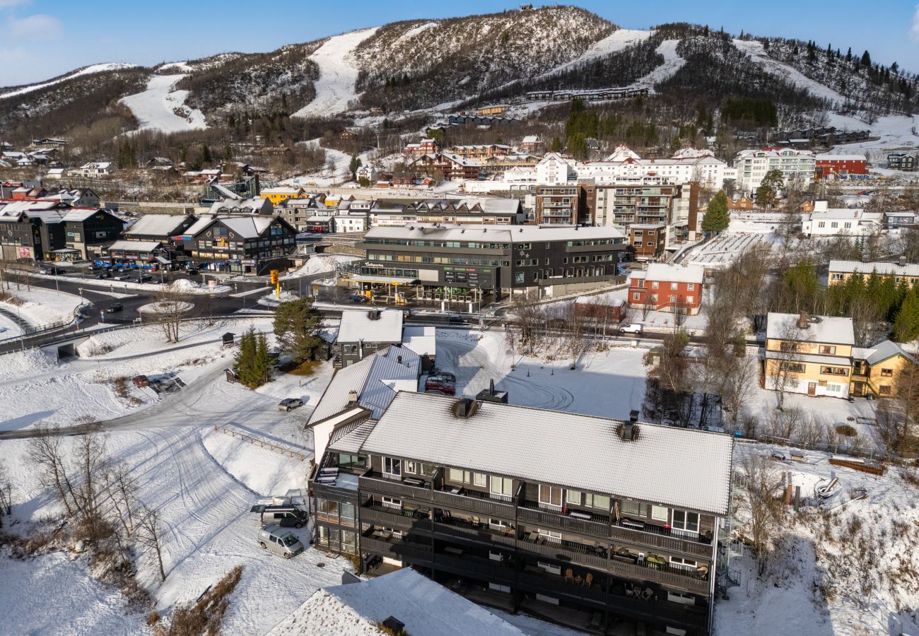Apartment in Hol - Geilo Town Centre – Apartment with a Superb Location! Walking Distance to Everything!