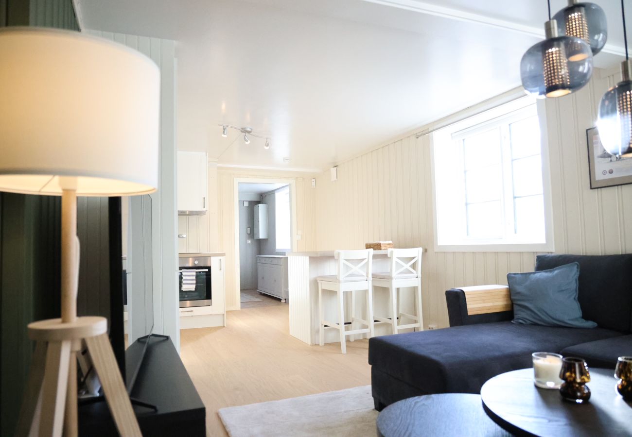 Apartment in Lillehammer - Central apartment in Lillehammer