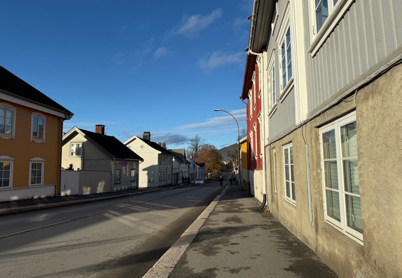 Apartment in Lillehammer - Central apartment in Lillehammer