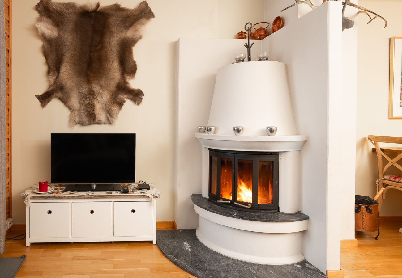 Apartment in Hemsedal - Ski apartment Hemsedal-close to golf and fishing