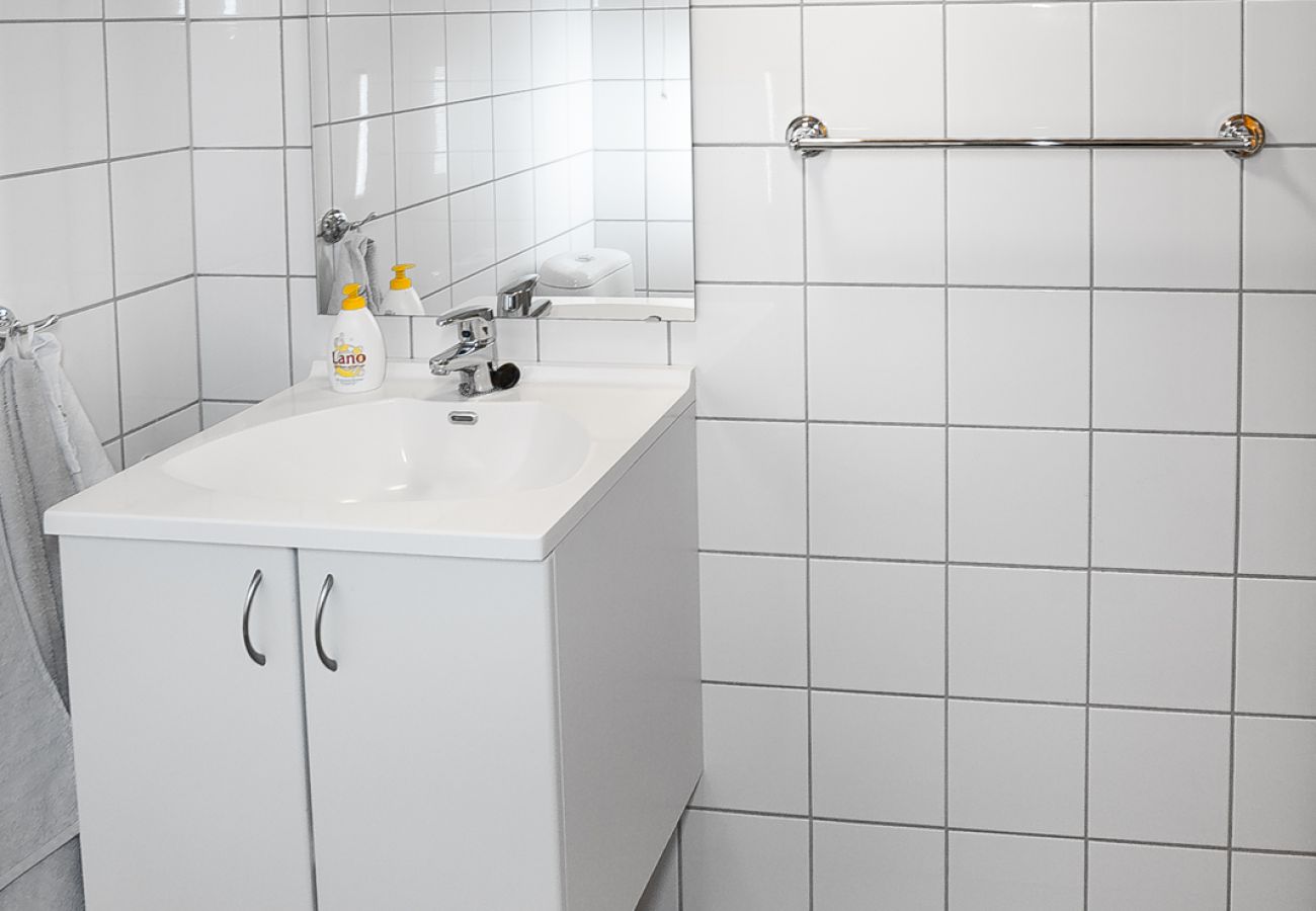 Apartment in Hemsedal - Ski apartment Hemsedal-close to golf and fishing