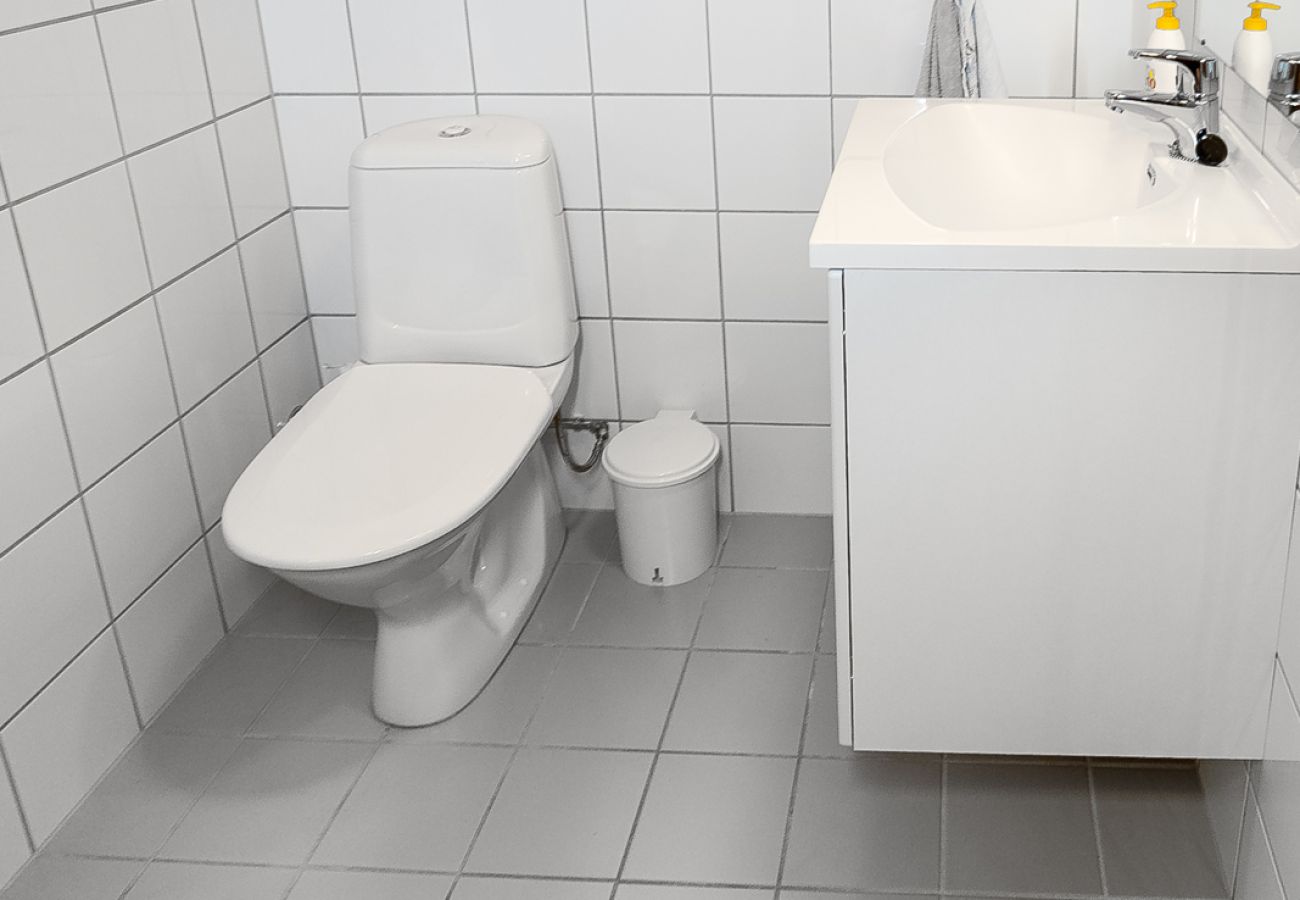 Apartment in Hemsedal - Ski apartment Hemsedal-close to golf and fishing