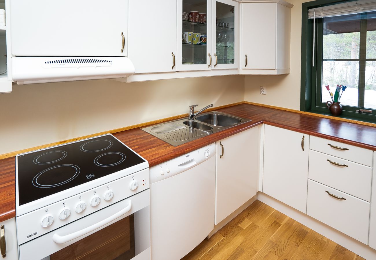 Apartment in Hemsedal - Ski apartment Hemsedal-close to golf and fishing