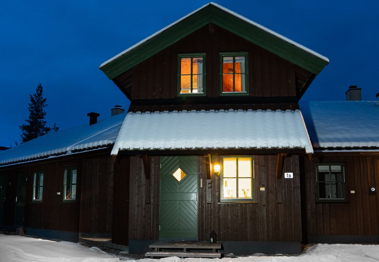 Apartment in Hemsedal - Ski apartment Hemsedal-close to golf and fishing