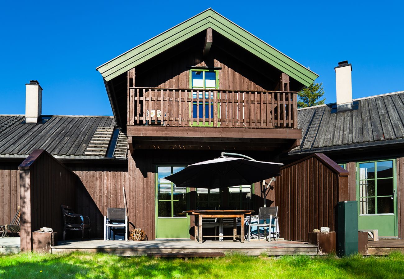 Apartment in Hemsedal - Ski apartment Hemsedal-close to golf and fishing