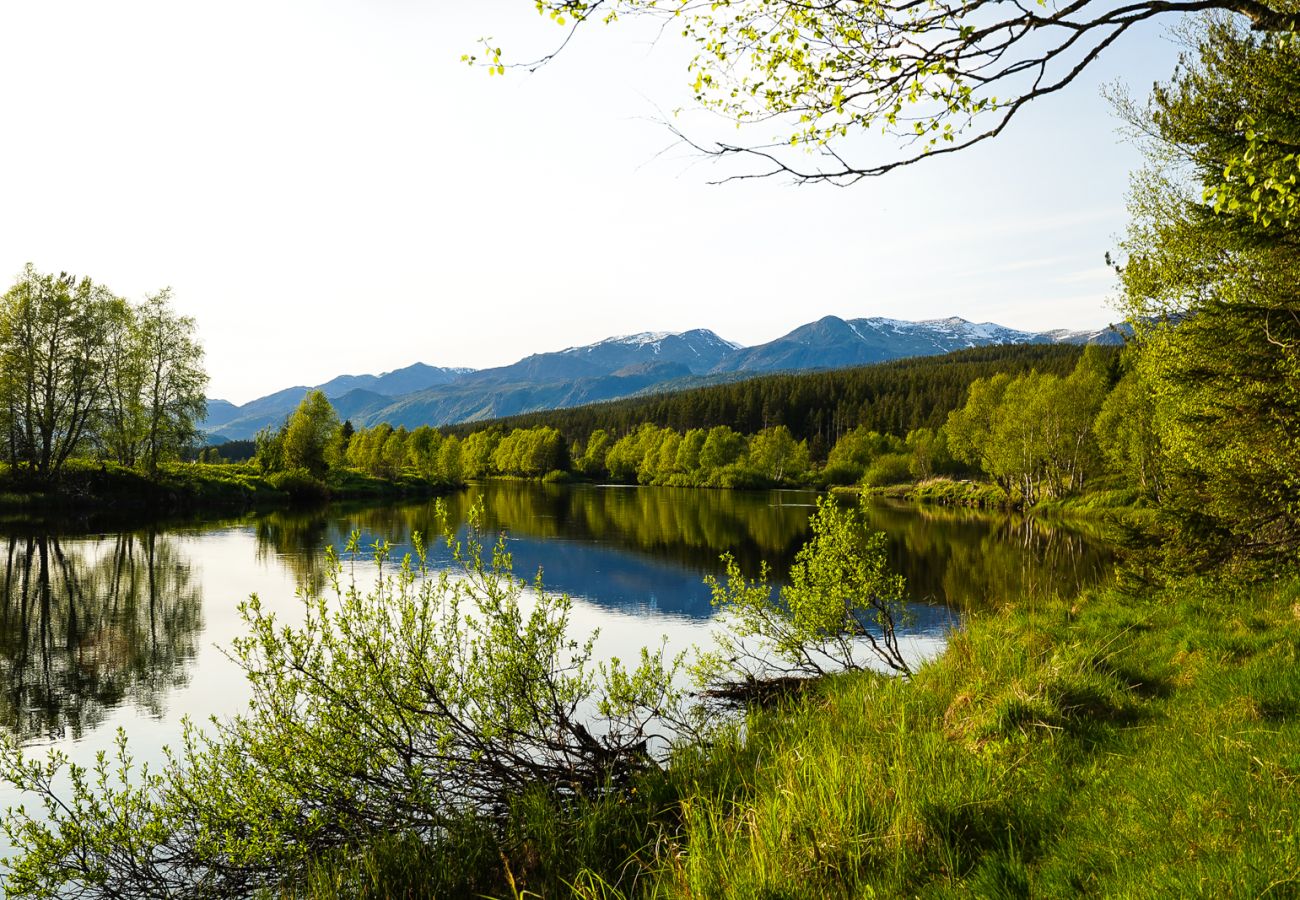 Apartment in Hemsedal - Ski apartment Hemsedal-close to golf and fishing