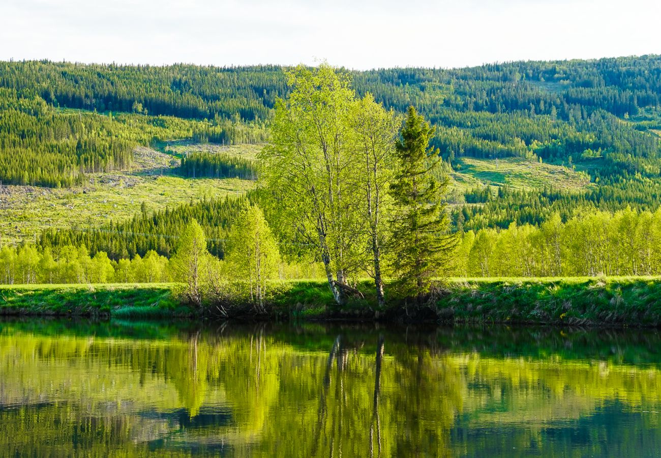 Apartment in Hemsedal - Ski apartment Hemsedal-close to golf and fishing