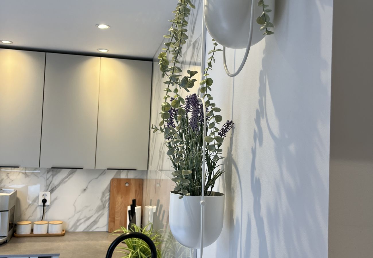 Apartment in Bergen - Exclusive apartment in historical house, Bergen