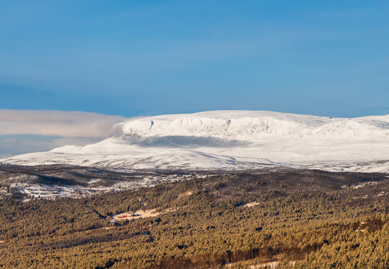 Cabin in Hol - New luxury cabin in Geilo with hot tub, mountain views & ski access
