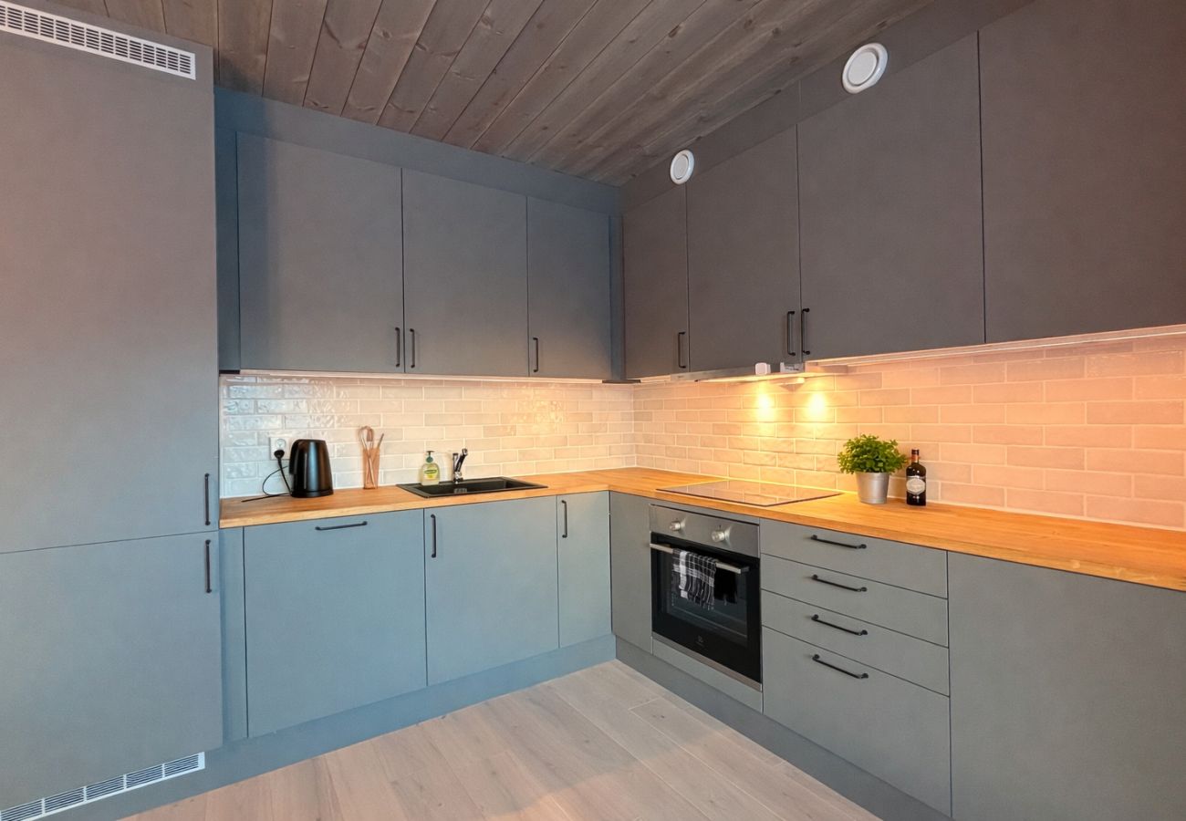 Apartment in Hemsedal - Modern ski-in/ski-out apartment in Hemsedal