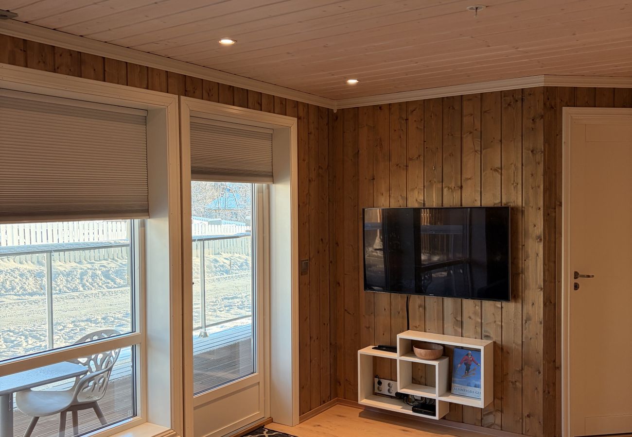 Apartment in Hol - Apartment in the Center of Geilo